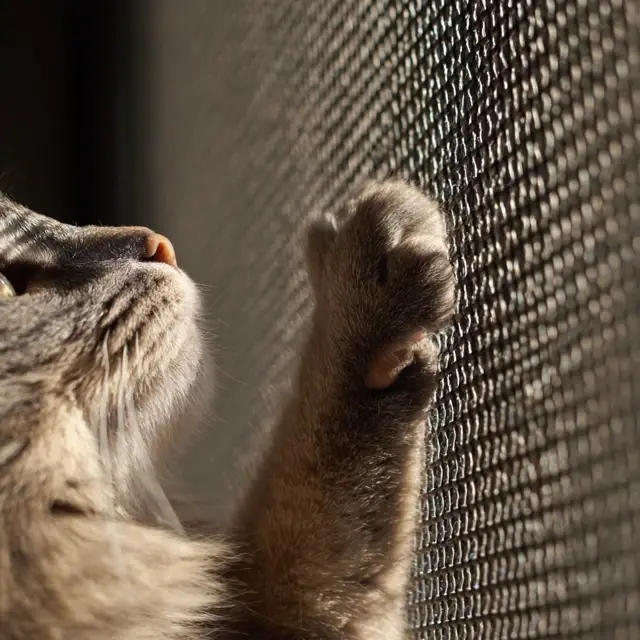 Strong Screen Door Mesh That Resists Claws - Heavy-Duty and Pet-Resistant Mesh | Laravel