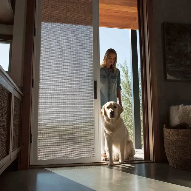 Tear-Resistant Screen Door Mesh for Busy Entrances - Heavy-Duty and Pet-Resistant Mesh | Laravel